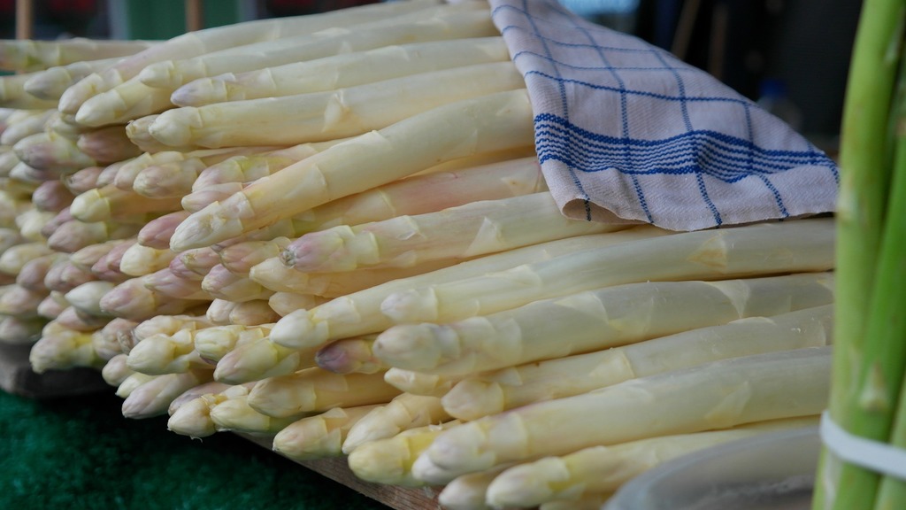 Asperge