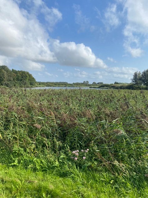 Zwarte gat