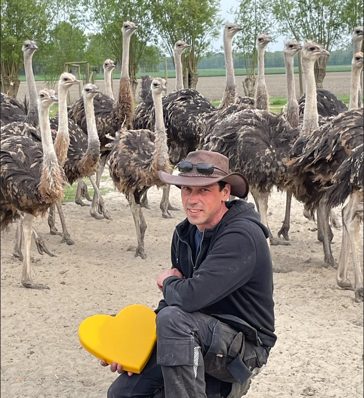 Struisvogelboerderij Monnikenwerve Struisvogelboerderij Monnikenwerve